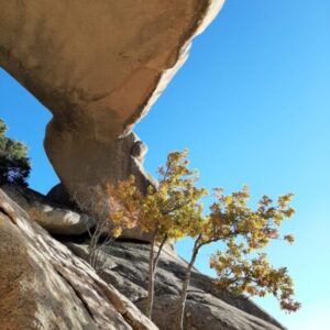 20211219 Puente de los Poyos (Pedriza)