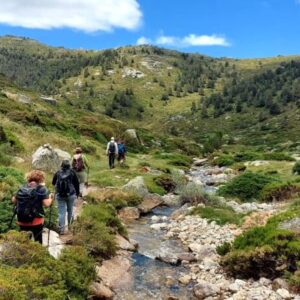 20220619 Alto Manzanares (IBP-81)