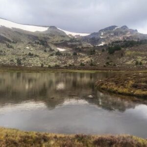 20230602 Picos de Urbión