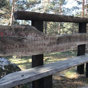 20230513 Senda Herreros Circular X 7 Picos (IBP-108)