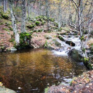 20250720 Territorio Canencia 2 Circular del Puerto al pueblo de Canencia (IBP-52)