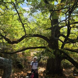 20251214 Comida navidad y paseo a Cabeza reina (IBP -48)