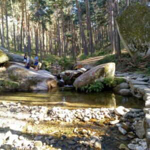 20260820 Fuentes del Eresma Lazo Superior (IBP-26)