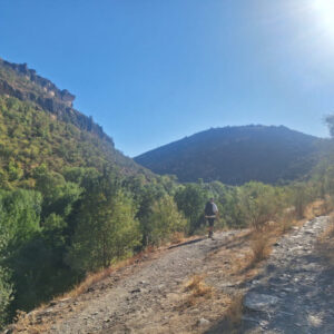 20260927 Pontón de la Oliva (IBP-80)